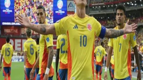 kaiyun·开云（中国）